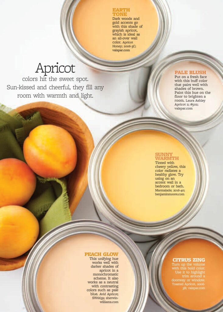 How To Use Color in Branding - Apricot Branding