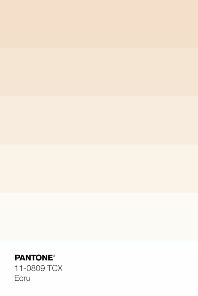 What is Ecru Color and How to Use it in Your Designs | ColorPalette.wiki