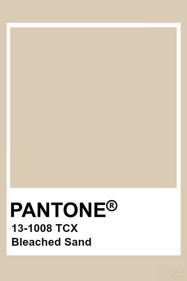 understanding-sand-color-shades-hues-and-combinations-colorpalette