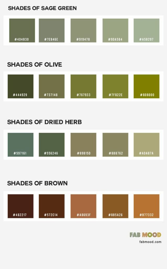 Understanding Olive Color: Theory and Combinations | ColorPalette.wiki